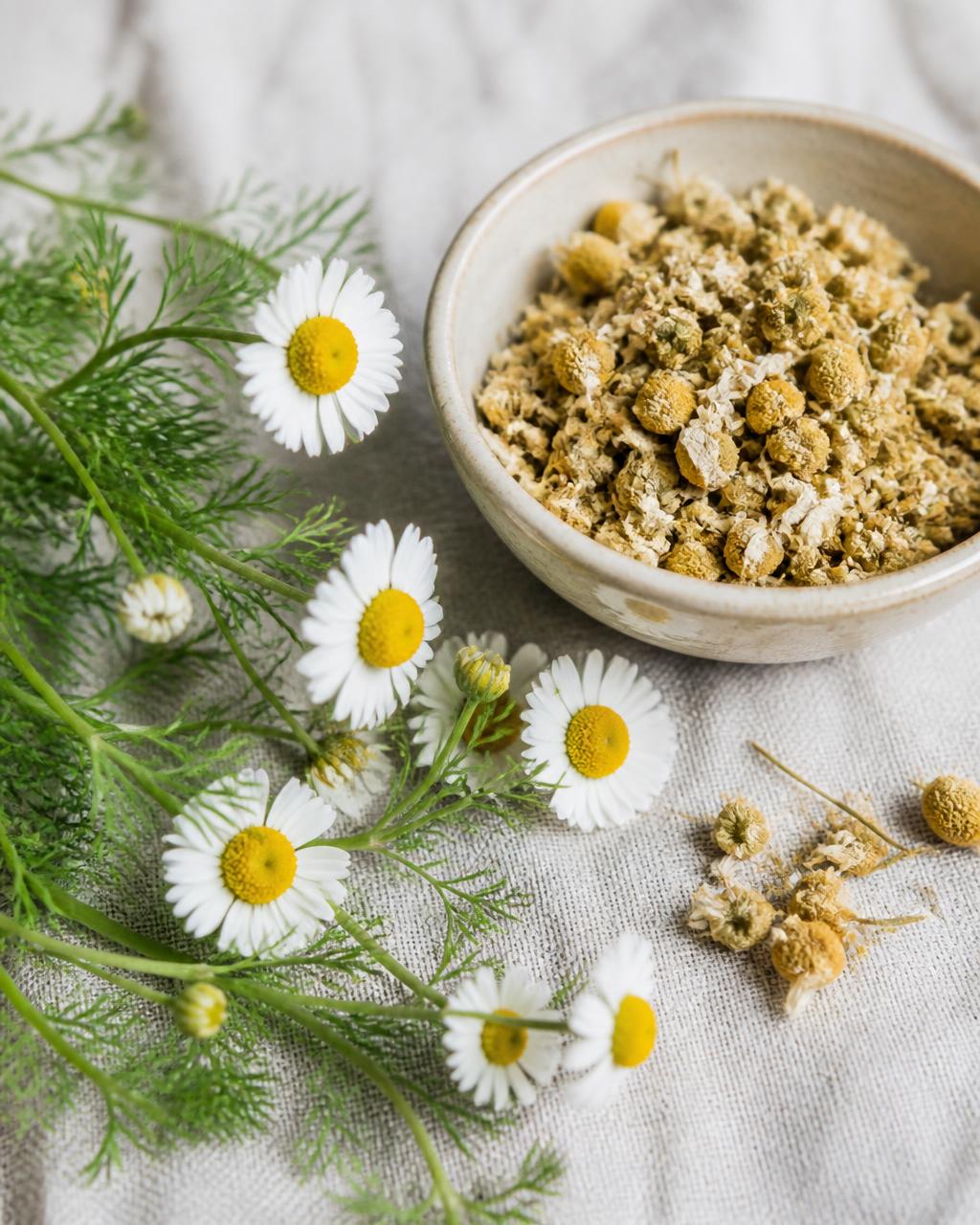 Chamomile